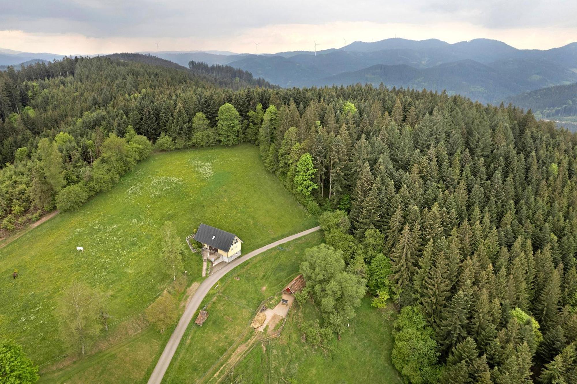 Landeckhof Villa Oberwolfach Exterior photo